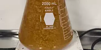 CBI - Yeast Starter